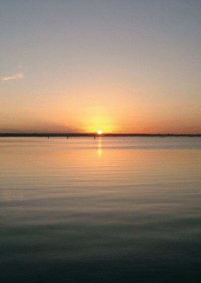 Carte Un Soir : Envoyer une Carte Condoléances dès 0,99 